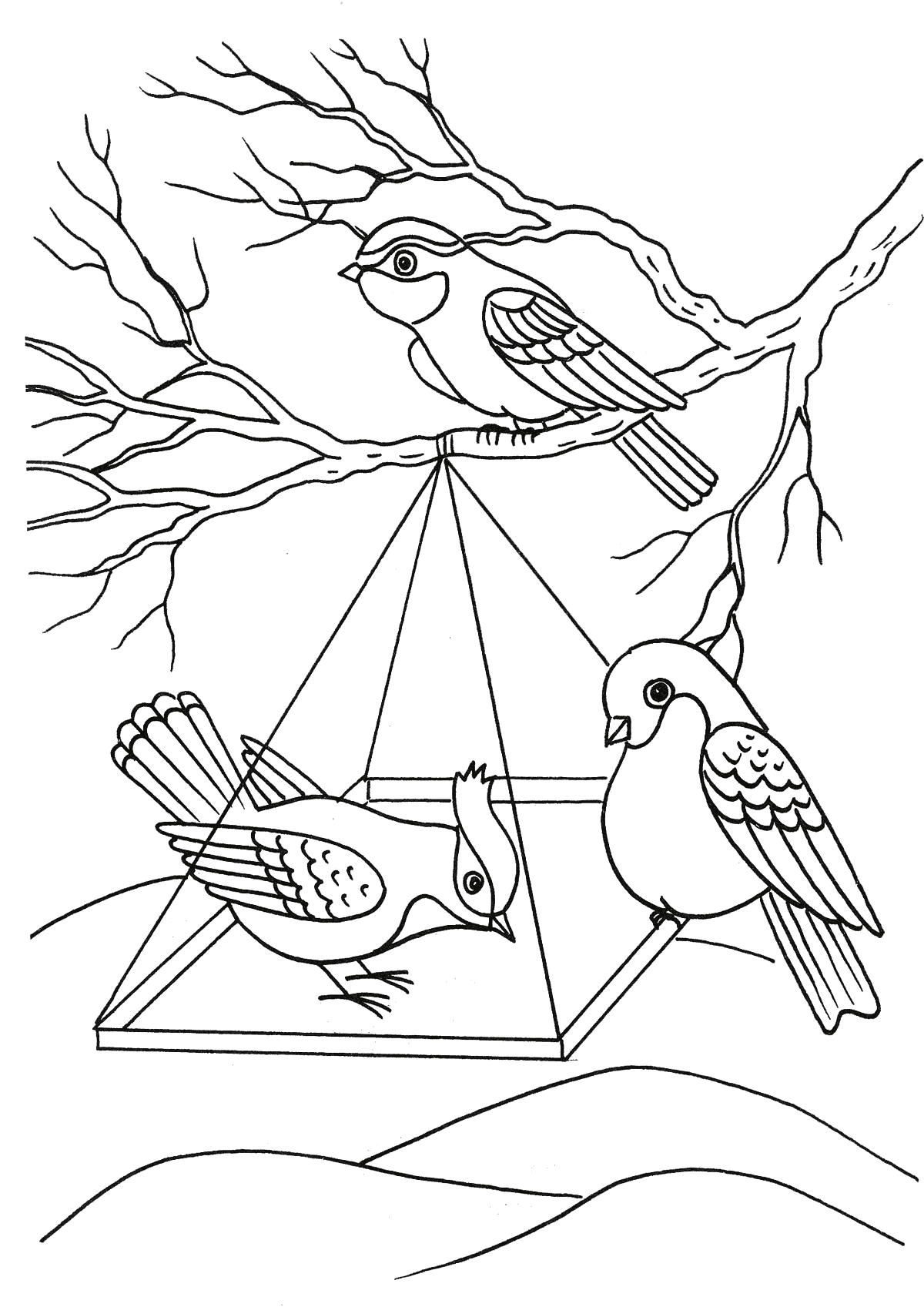Раскраска Птицы на кормушке | Раскраски Птицы