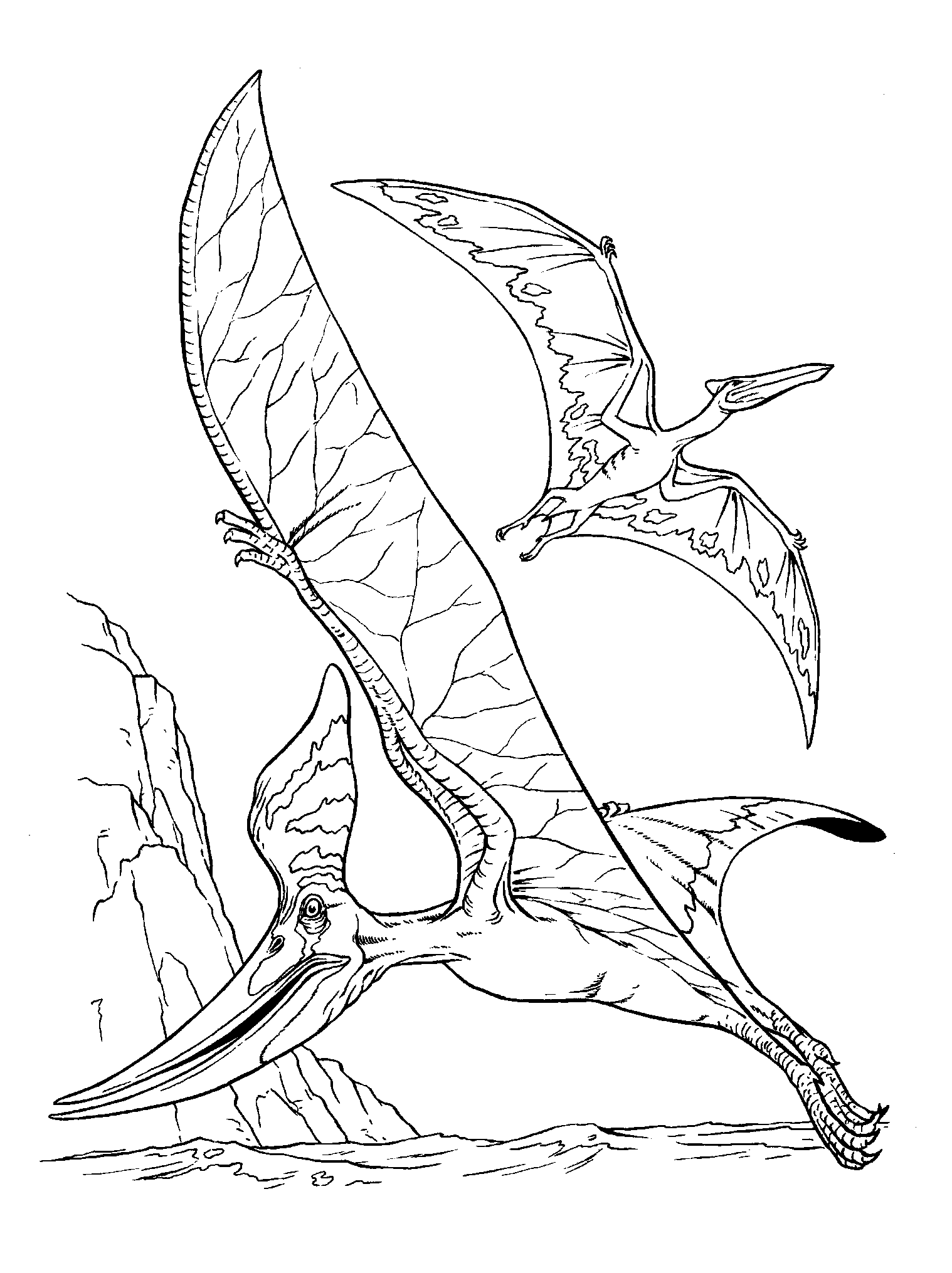 Птеранодон динозавр раскраска