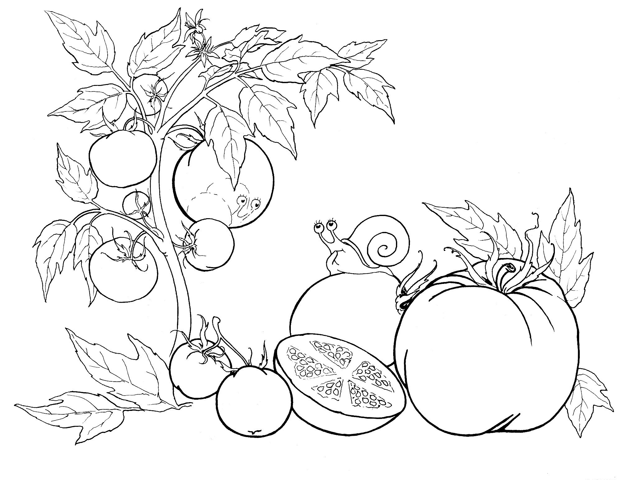 Натюрморт овощи и фрукты раскраска