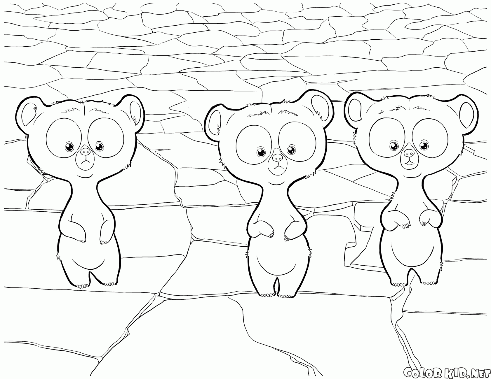 Тройняшки стали медвежатами