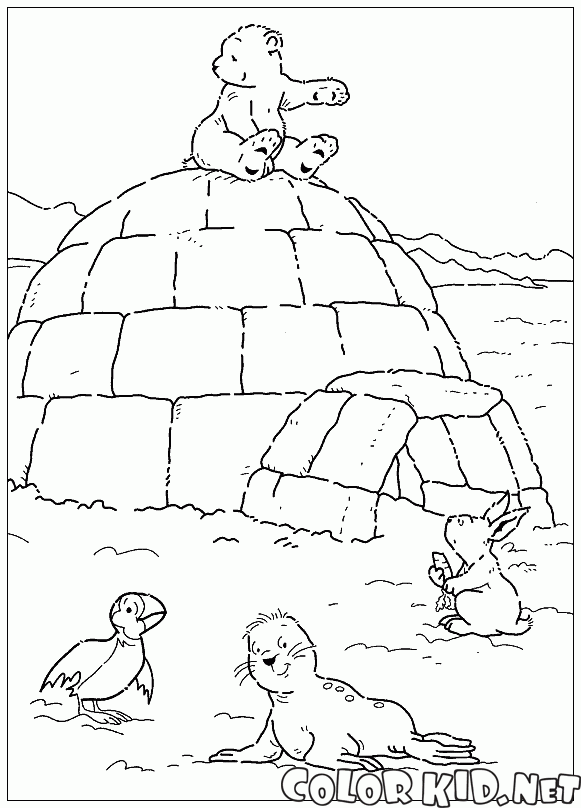 Домик эскимосов