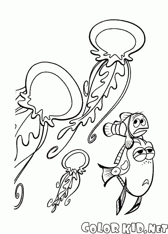 Коварные медузы