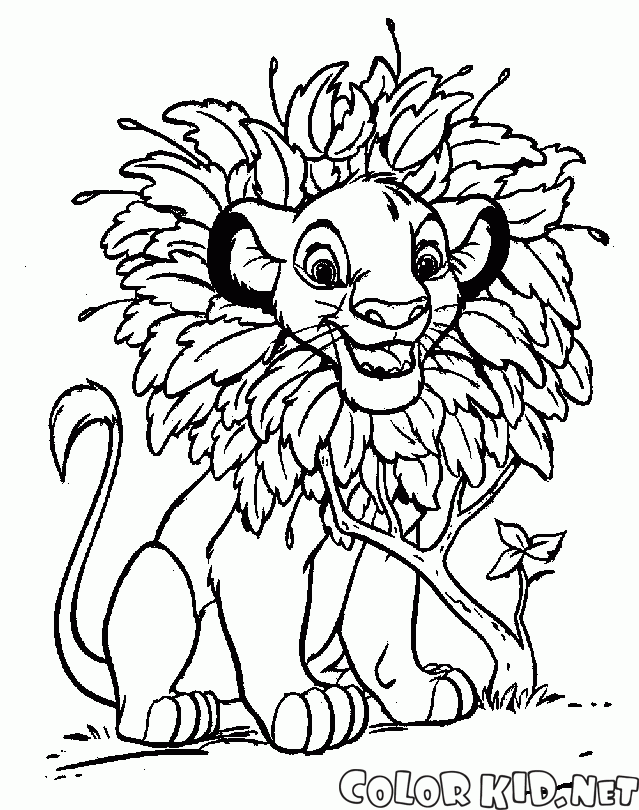 Грива для львенка