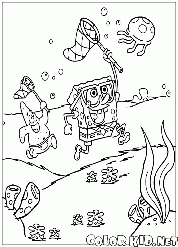 Друзья ловят медуз