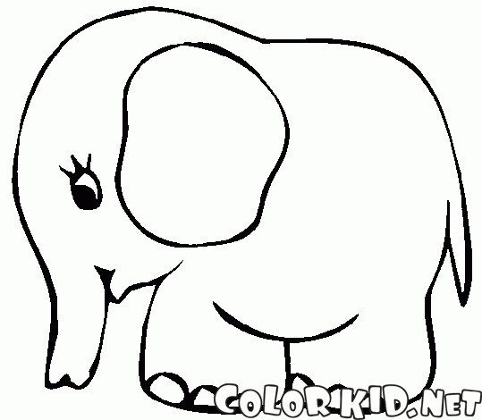 Играть в Индийский слон онлайн