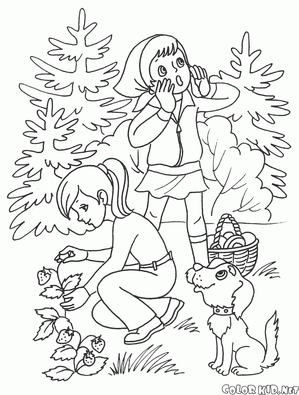 Дети летом в лесу