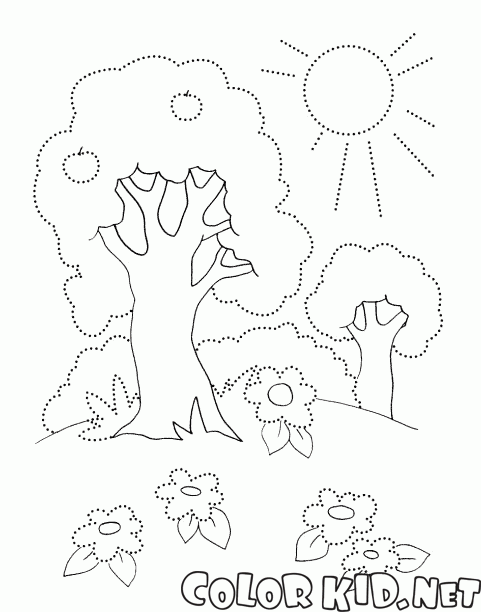 Деревья летом