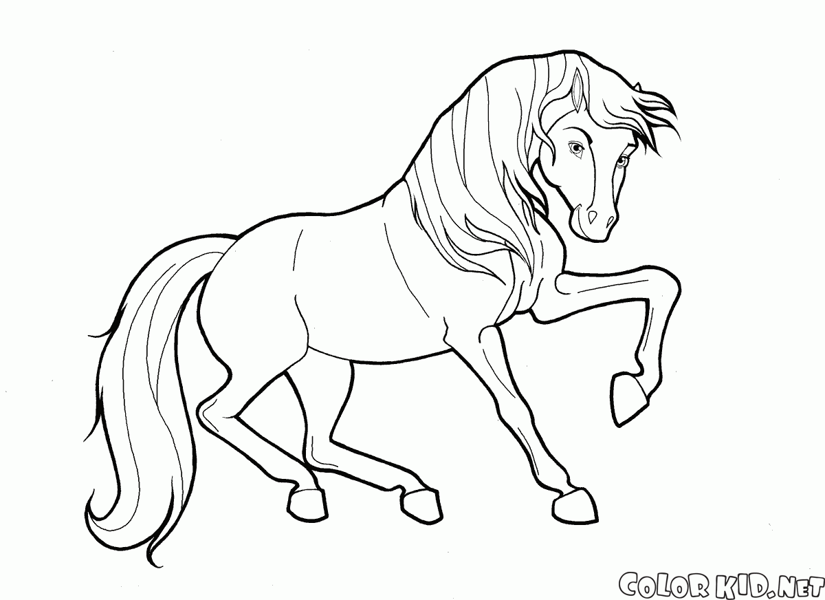 Лошадь в движении
