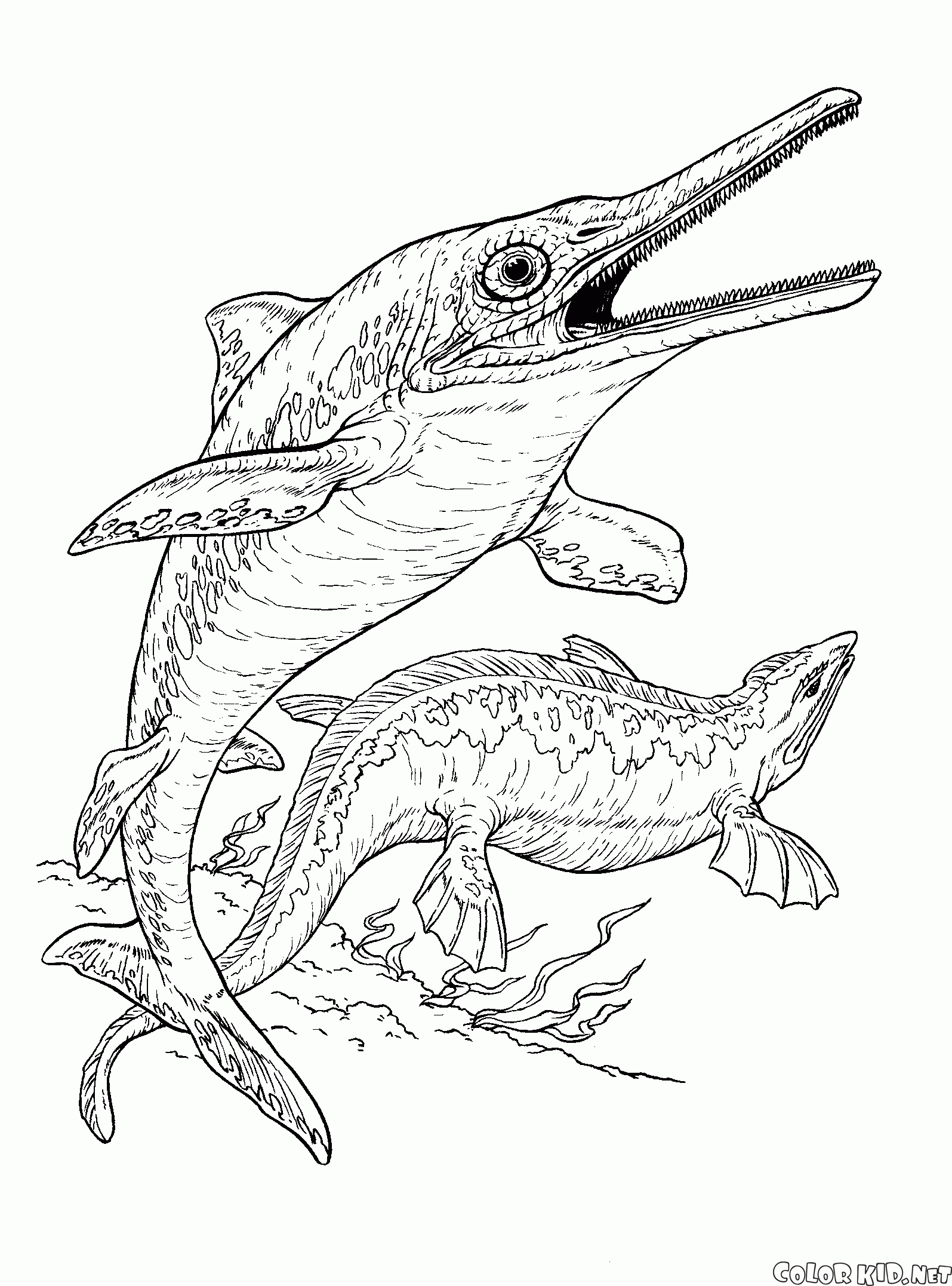 Ихтиозавр и плиозавр