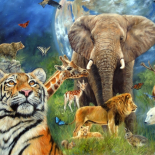 Животный мир