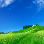 Время года Лето