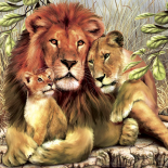 Дикие животные