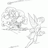 Иридесса и комета