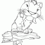 Чанки - питомец Груга