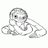 Питомец Малого