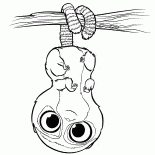 Грушевый мишка