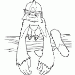 Обезьяна-калачник