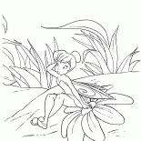 Отдых Динь-Динь 