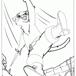 Бесстрашный кот