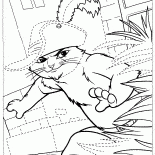 Кот в Сапогах на охоте