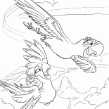 Полёт попугаев