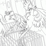 Жемчужина свободна