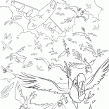 Высотные полёты