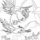 Погоня за птичкой