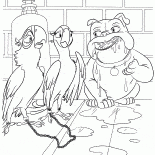 Попугайчики и Слюнявчик