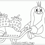 Крот и клубника