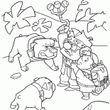 Собаки окружают