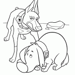 Дага ругают