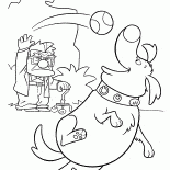 Даг любит мячик