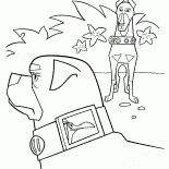 Ошейник Добермана