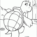 Рептилия черепаха