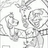 День рождения Марти