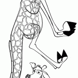 Мелман балуется