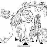 Герои Мадагаскара