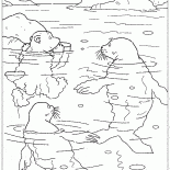 Ларс и тюлени