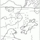 Медвежонок ныряет