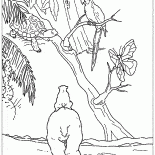 Ларс в тропиках