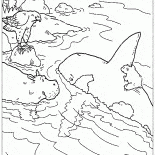 Верхом на касатке