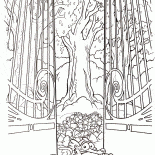 Рай белки Скрата