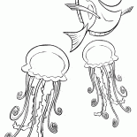 Дори и медузы