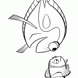 Океанские рыбки