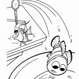 В канализацию