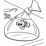 Немо в пакете