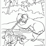 Битва Шер Хана и Балу