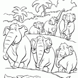 Стая слонов