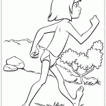 Маугли смело путешествует